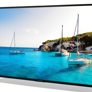 Neptune 55" Full Sun Outdoor Smart TV with Free Tilting Wall Mount-0