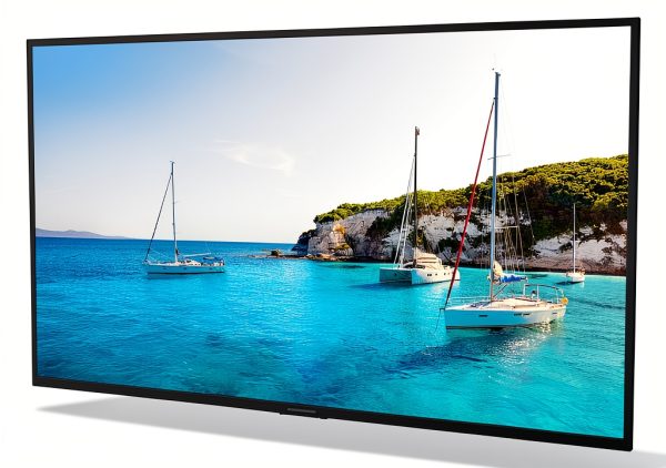 Neptune 55" Full Sun Outdoor Smart TV with Free Tilting Wall Mount-0
