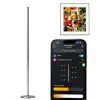 Govee RGBICW Blue Smart Floor Lamp with Adjustable Brightness-3